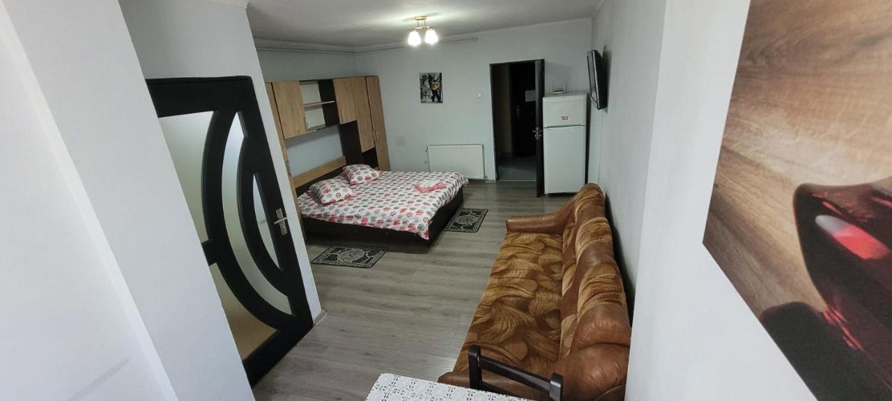 Flora Apartament Lejlighed Satu Mare Eksteriør billede